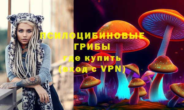 соль ск Беломорск